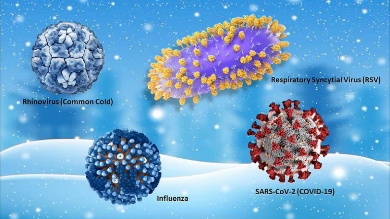 Surge in Respiratory Illnesses: California’s New Bird Flu Outbreak, Rising HMPV Cases, and Persistent COVID-19