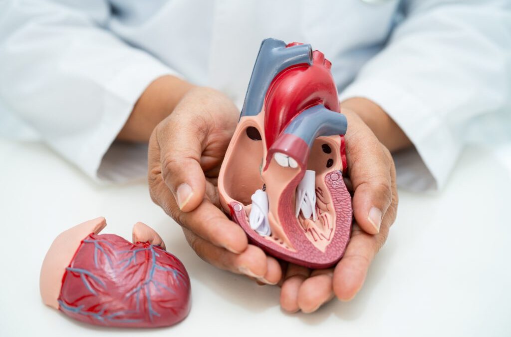 How COVID-19 Impacts Blood Vessels and Heart Health: What You Need to Know
